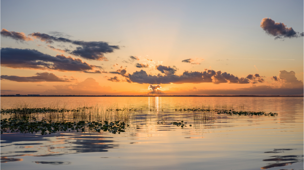 Main image Lily Light