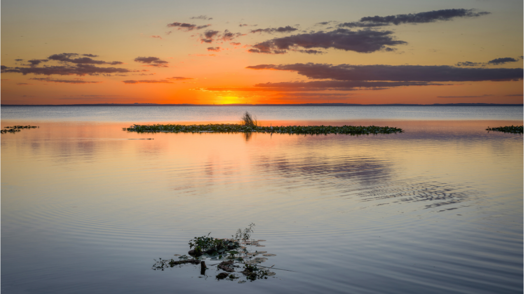 Main image Golden Calm