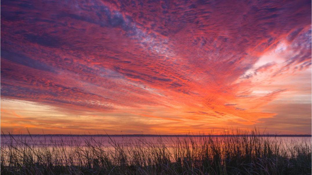 Main image Sky In Bloom