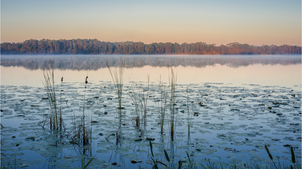 Main image Breath of Morning