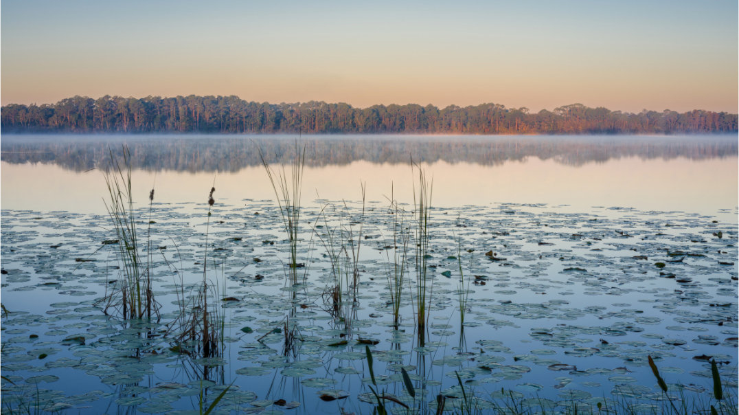 Main image Breath of Morning